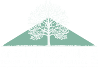 Apex Logo