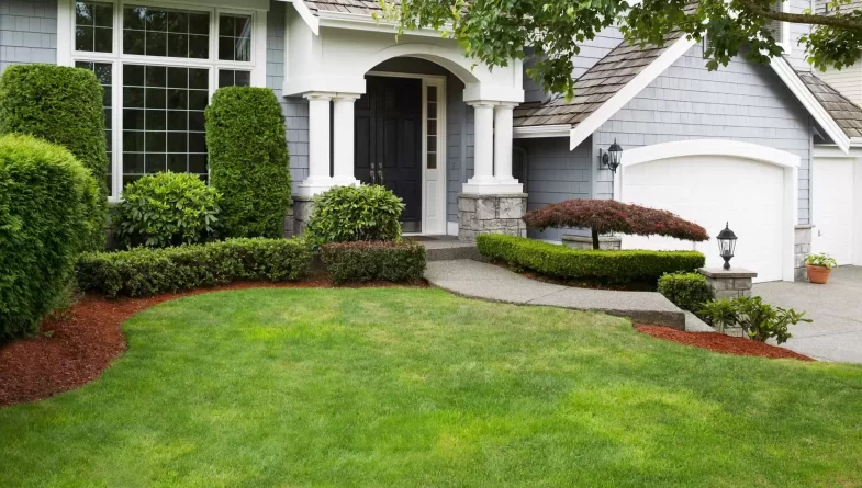yard design