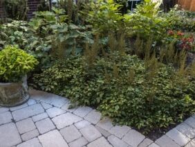 FreemanParkPl9429-1-scaled