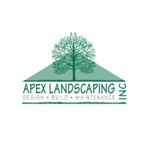 Apex Logo circle