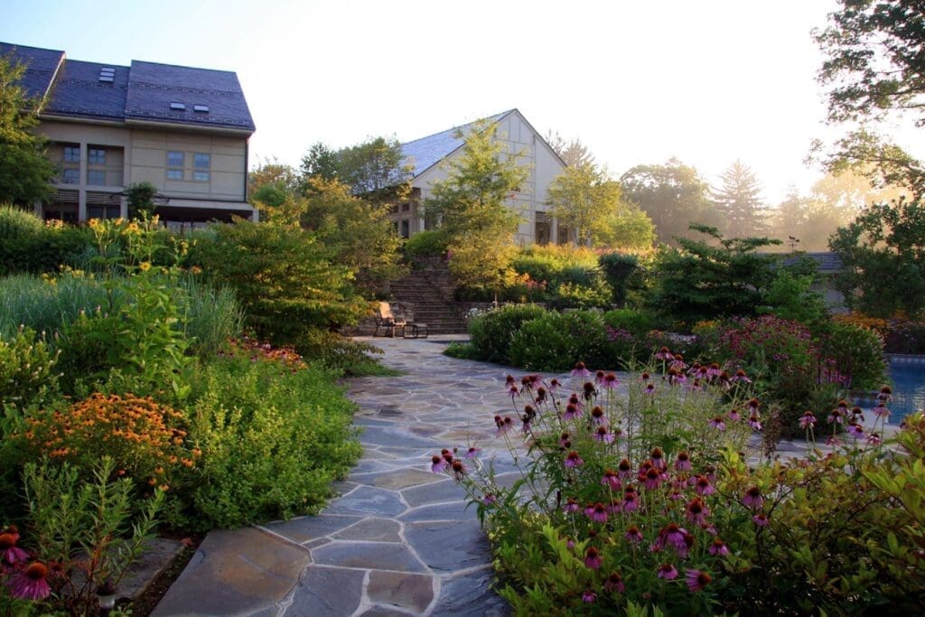 Maximizing Natural Backyard Elements - Apex Landscaping