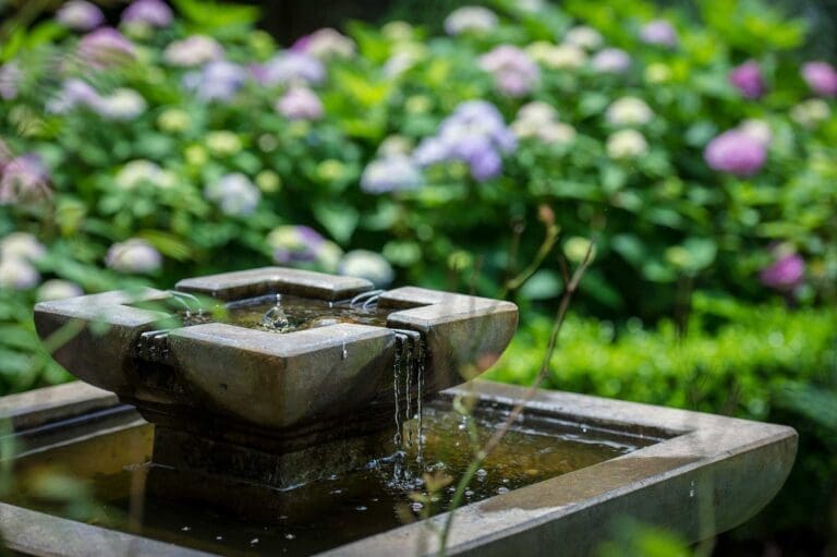 water fountain 2