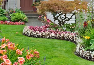colorful flower bed 4