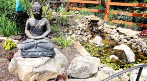 peaceful rock garden