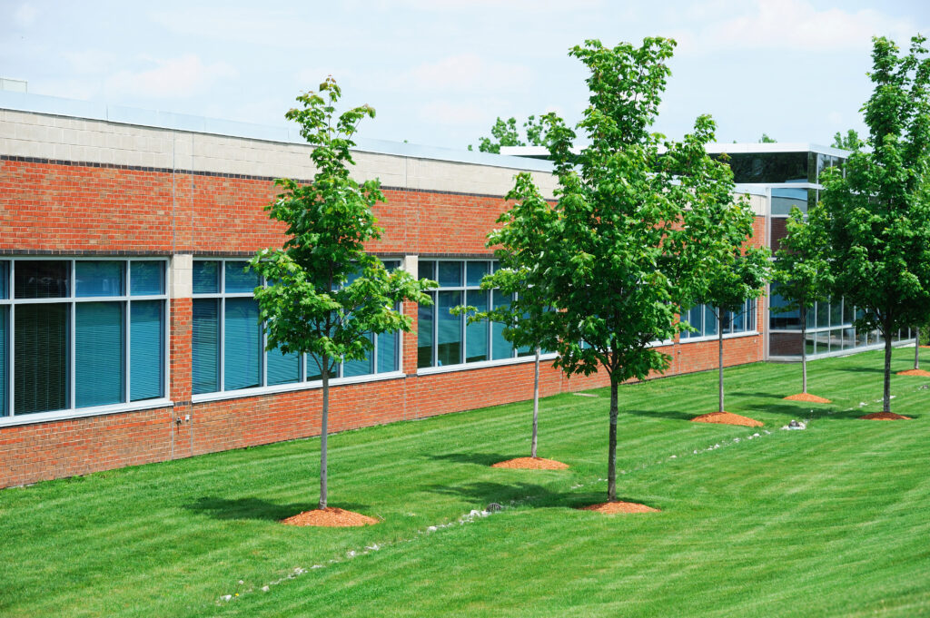 Commercial Landscape Tree Care
