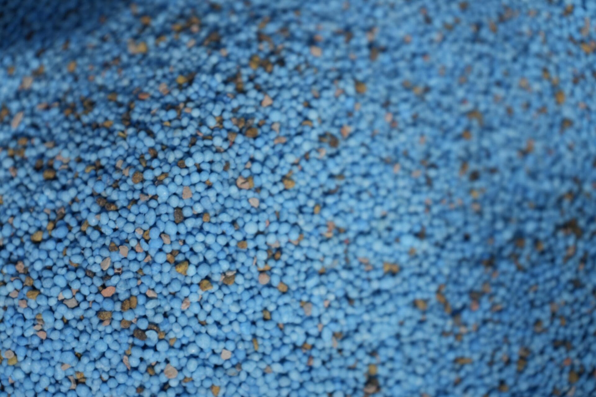 Close-up of slow-release fertilizer granules — Apex Landscaping lawn care