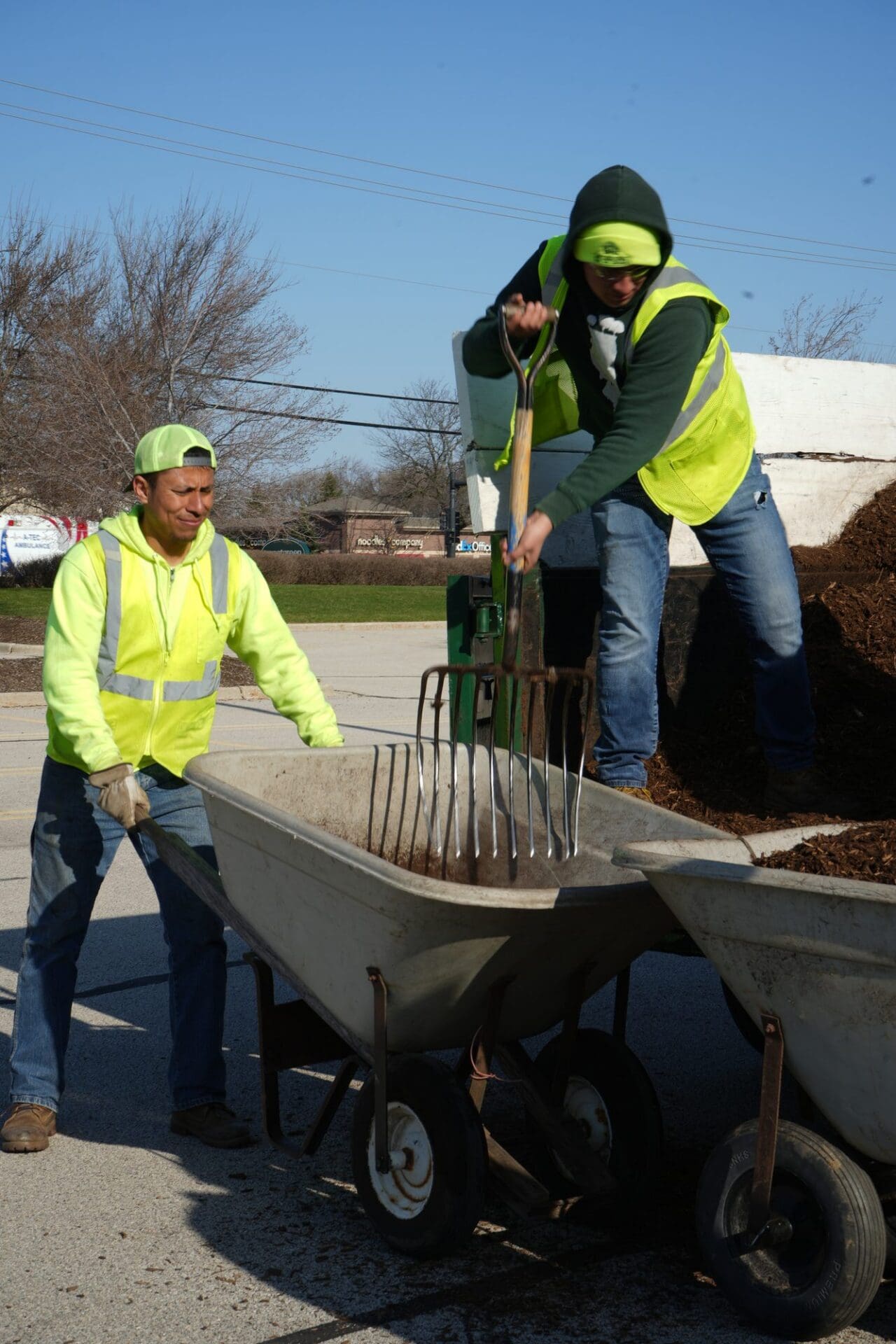 Fresh mulch installed in landscape planting beds — Apex Landscaping