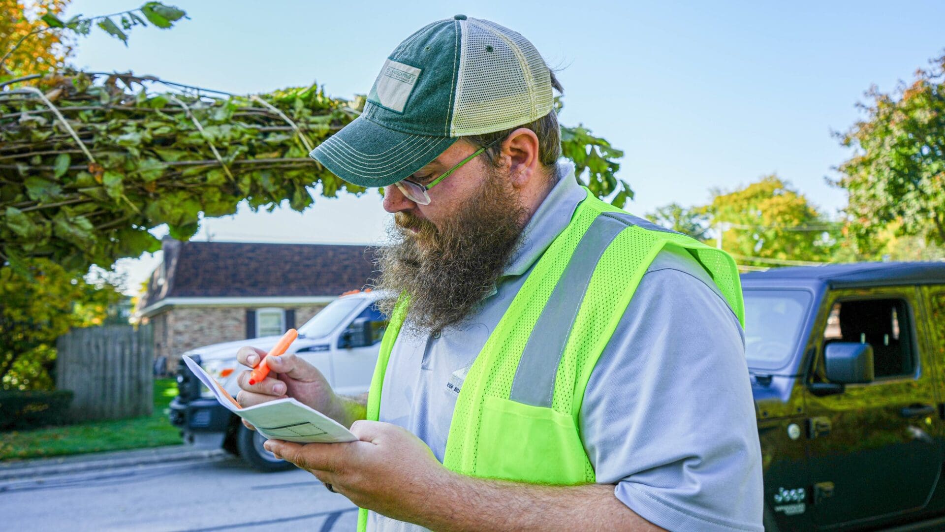 Apex Landscaping arborist assessing trees on site