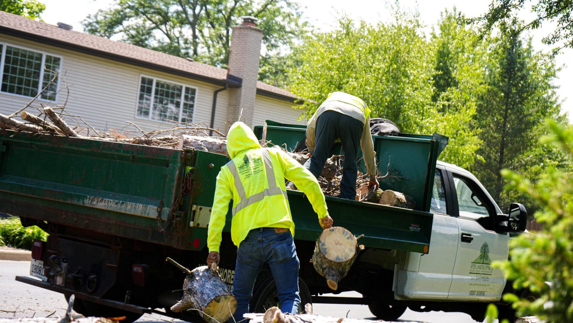 Crew loading logs during a tree removal — Apex Landscaping