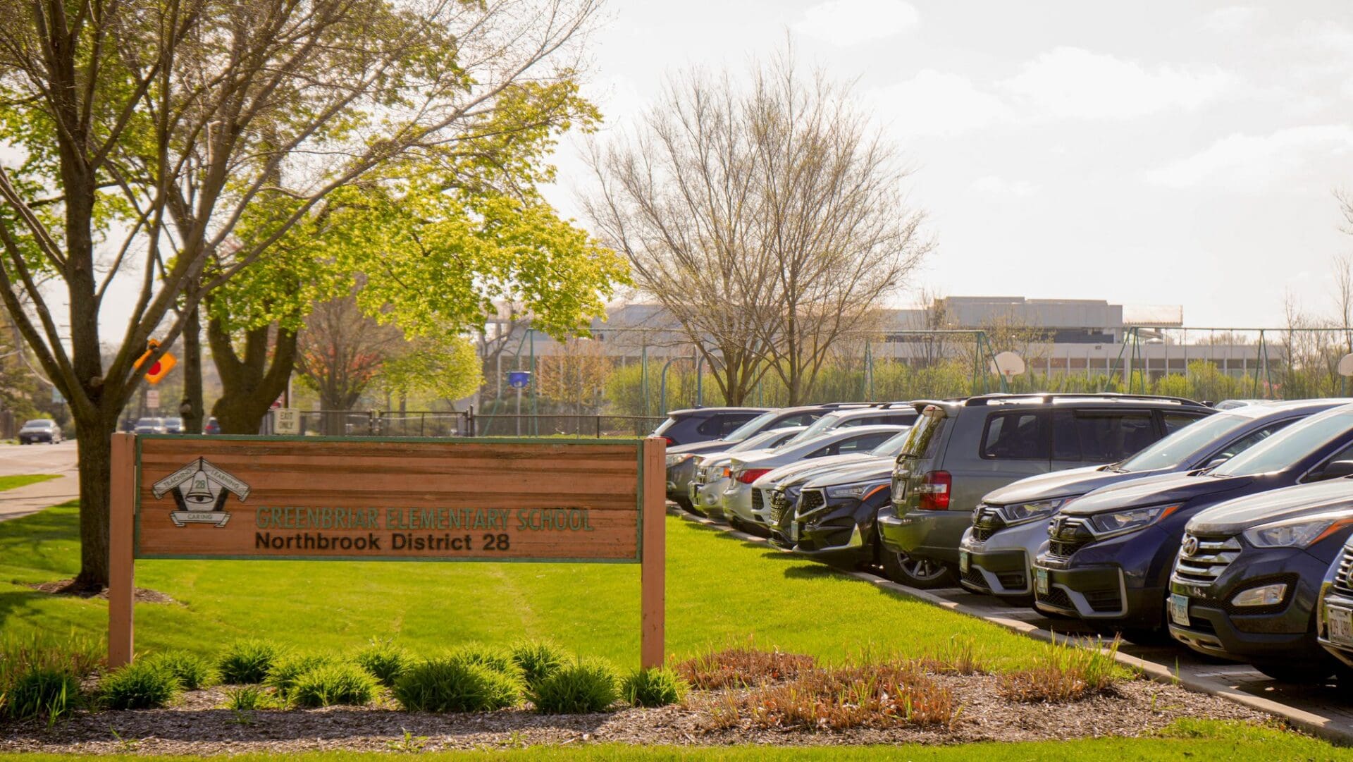 Community tree planting at a local site — Apex Landscaping