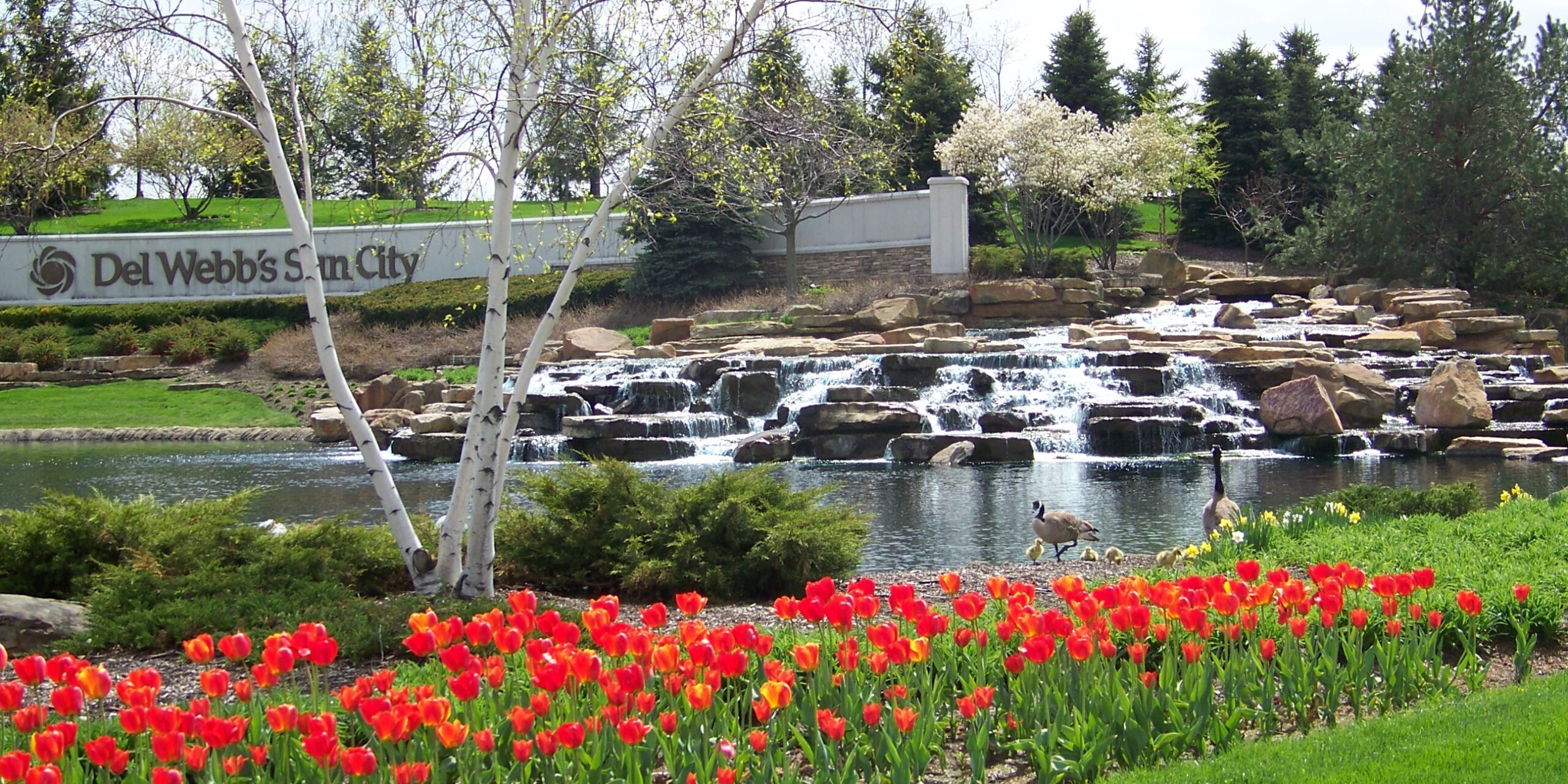 pond-waterfall-HOA-commercial-landscaping-enhancements-design-build-install-IL