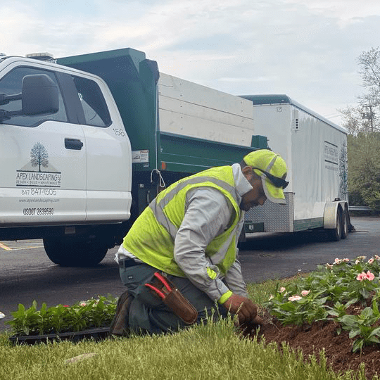 Summer Planting-DumpTruck-Commercial-Wheeling-IL (1)