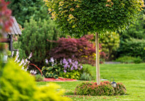 barrington landscaping