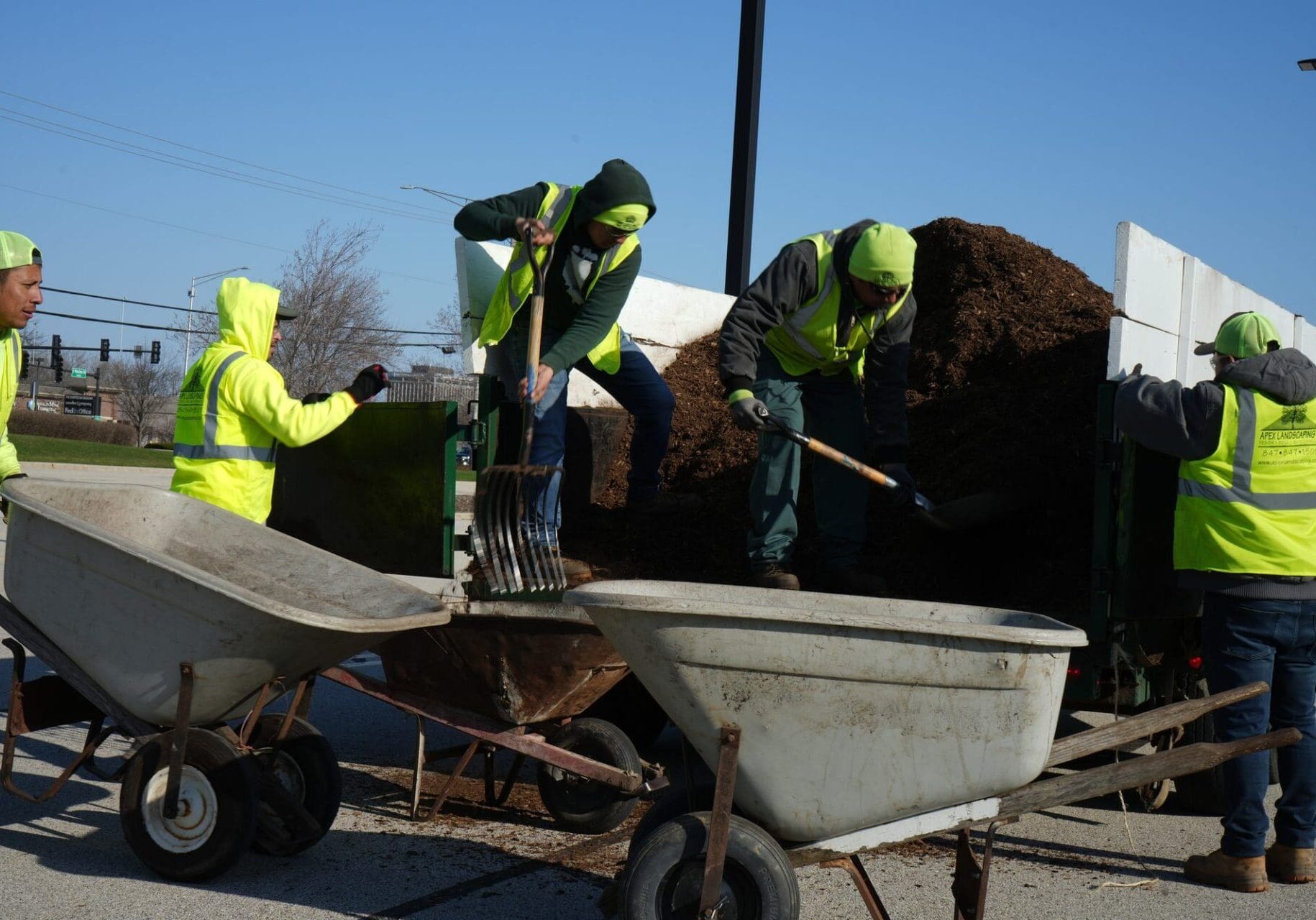 Crew installing mulch in landscape beds — Apex Landscaping