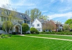 beautiful lawn
