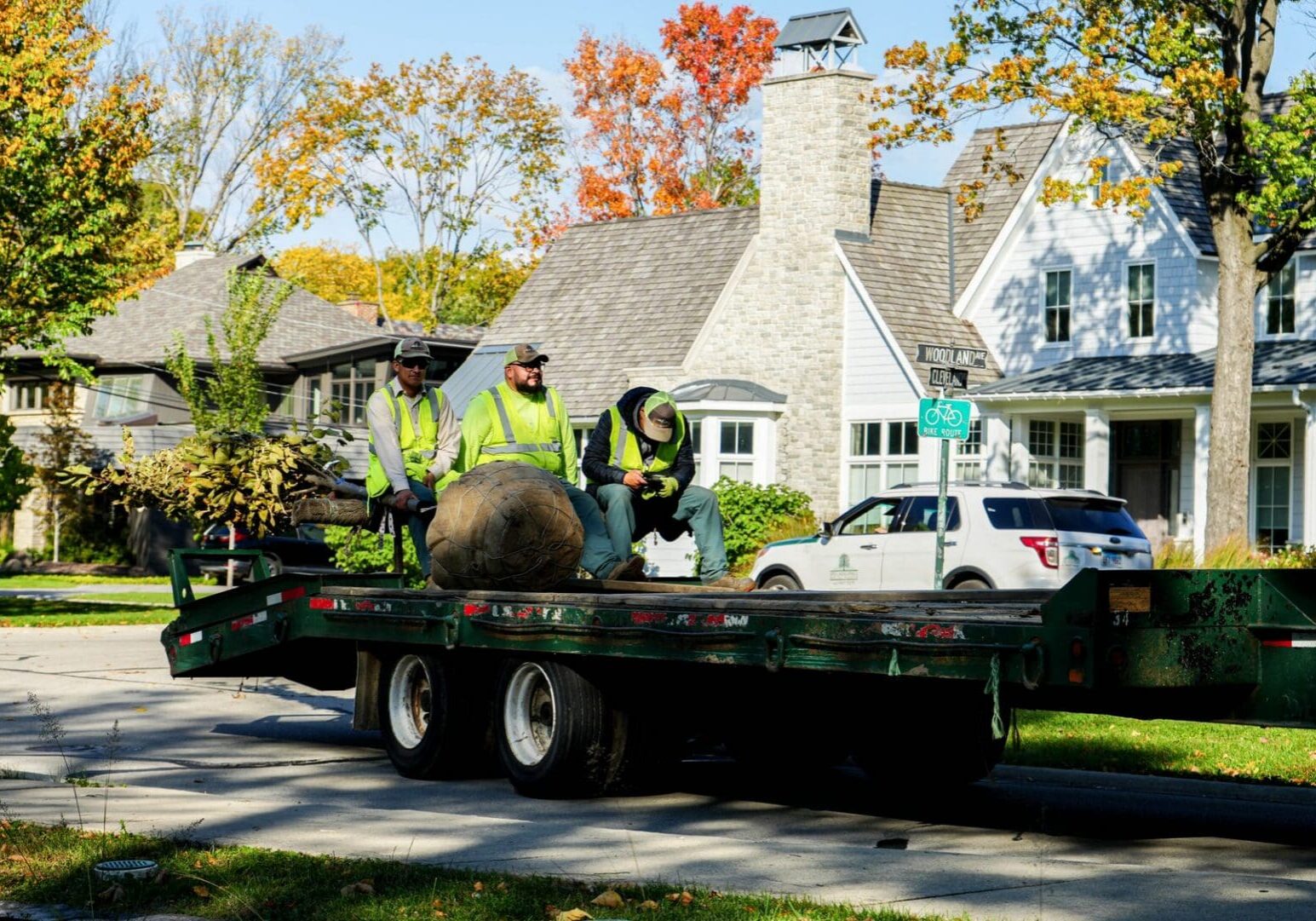 Large balled-and-burlapped trees on a flatbed for installation — Apex Landscaping