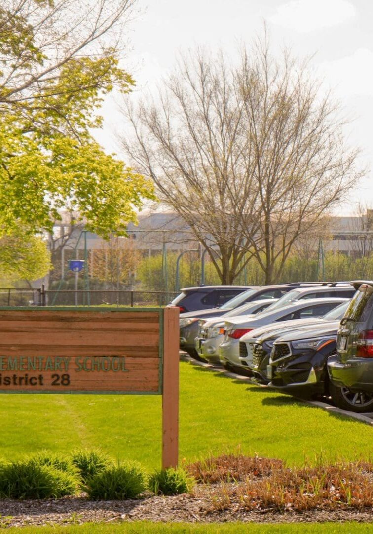 Community tree planting at a local site — Apex Landscaping