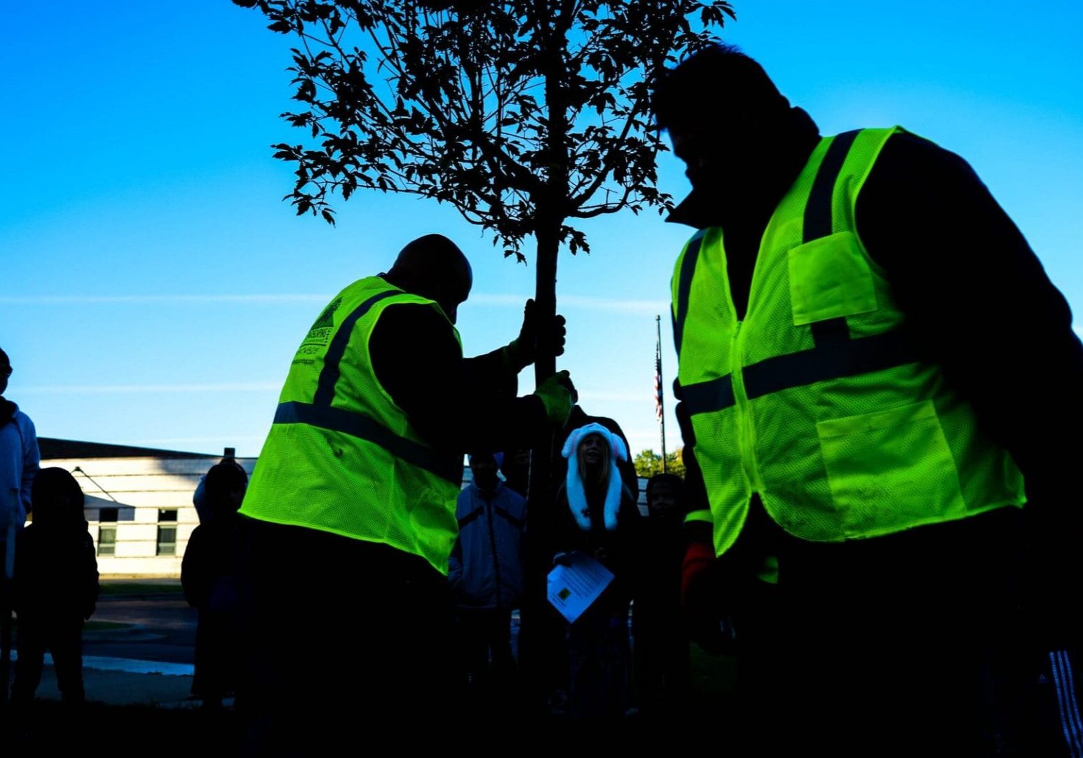 Tree planting at dusk — Apex Landscaping